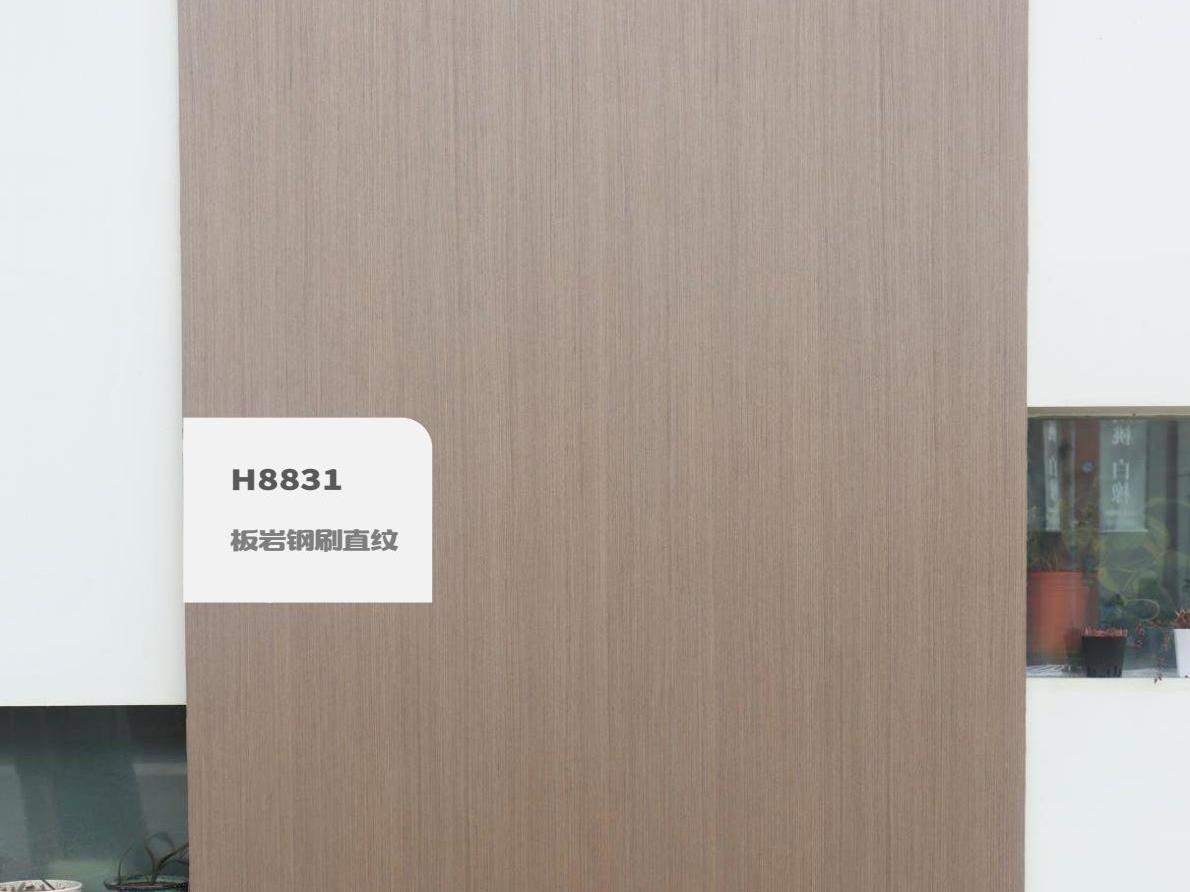 H8831板岩钢刷直纹